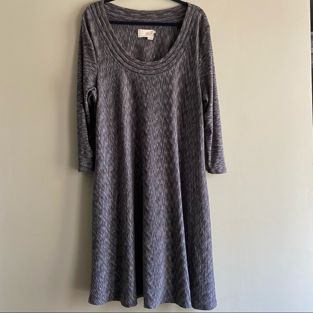Anthropologie Saturday Sunday Dress XL